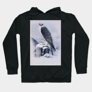 Vintage Bird-Available As Art Prints-Mugs,Cases,Duvets,T Shirts,Stickers,etc Hoodie